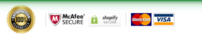 Secure checkout and accepted payment methods